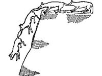 CVLZ2244.jpg
