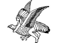 CVLZ2240.jpg