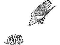 CVLZ2239.jpg