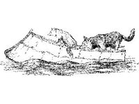 CVLZ2235.jpg