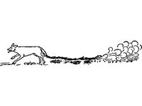 CVLZ2233.jpg