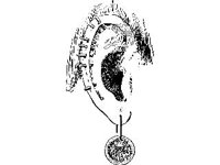 CVLZ2527.jpg
