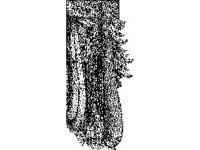 CVLZ2495.jpg