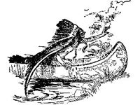 CVLZ2470.jpg