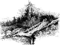 CVLZ2468.jpg