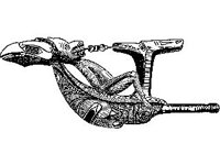 CVLZ2607.jpg