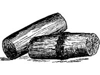 CVLZ2604.jpg