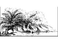CVLZ3466.jpg
