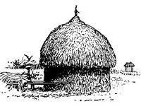 CVLZ3464.jpg