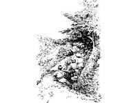CVLZ3461.jpg