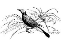 CVLZ3459.jpg