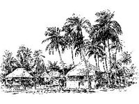 CVLZ3444.jpg