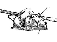 CVLZ3439.jpg