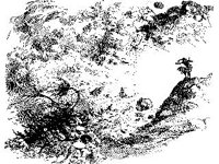 CVLZ3436.jpg