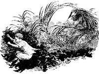 CVLZ3428.jpg
