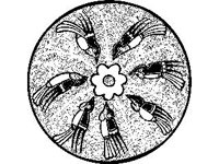 CVLZ2674.jpg