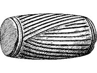 CVLZ2671.jpg
