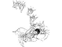 NUDE076.JPG