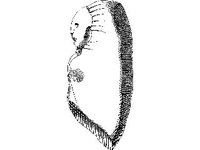 NUDE406.jpg