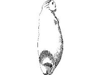 NUDE405.jpg