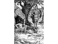 NUDE368.jpg