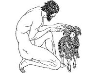 NUDE270.jpg