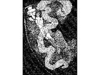 NUDE259.jpg