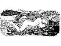 NUDE478.jpg