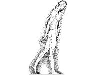 NUDE614.jpg
