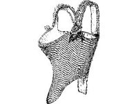NUDE942.jpg