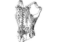 NUDE941.jpg
