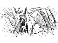 PAROD073.jpg