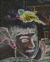 ART1329.jpg