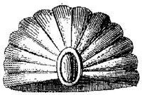 PMI066BA.JPG