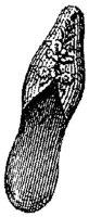 PMI062A1.JPG