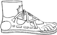 CGR290D.JPG