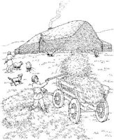 STV018A.JPG