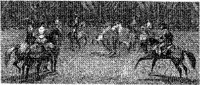 PMI089C.JPG