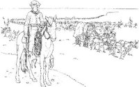 CBW017A.JPG