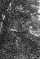 GRAY1352.jpg