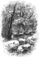 GRAY1316.jpg