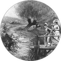 GRAY1342.jpg