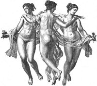 GRAY1314.jpg