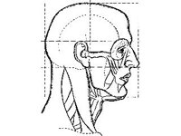 DSGN2561.jpg