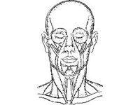 DSGN2560.jpg