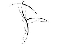 DSGN2657.jpg
