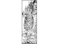 DSGN2800.jpg