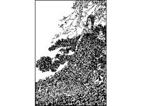 DSGN2798.jpg