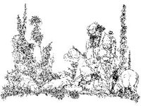 DSGN2756.jpg