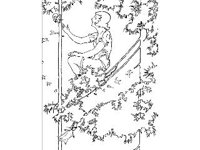 DSGN2747.jpg